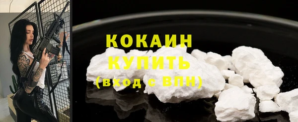гидра Богданович