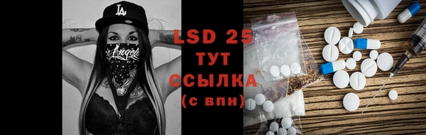 гидра Богданович