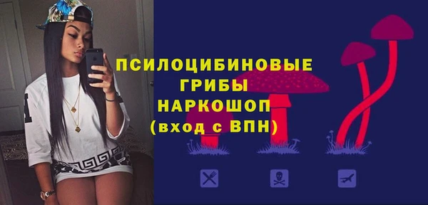 ГАЛЛЮЦИНОГЕННЫЕ ГРИБЫ Бородино