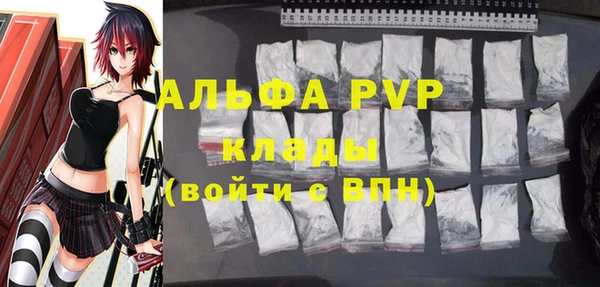 спиды Богородск