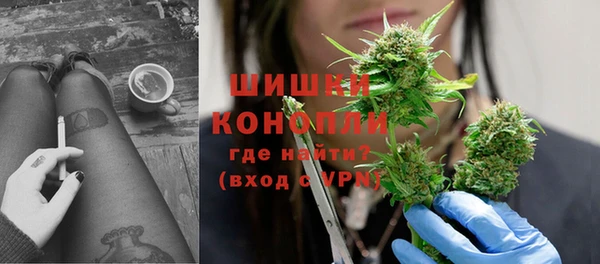 гидра Богданович