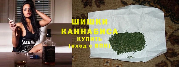 гидра Богданович