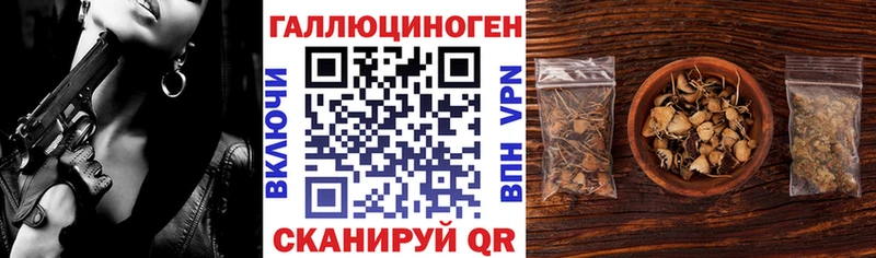 Галлюциногенные грибы Psilocybine cubensis  Первомайск 